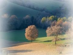 campagna